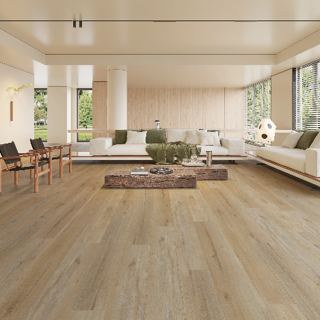 QLD Spotted Gum