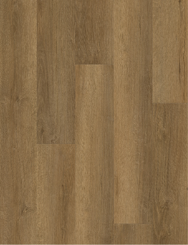 QLD Spotted Gum