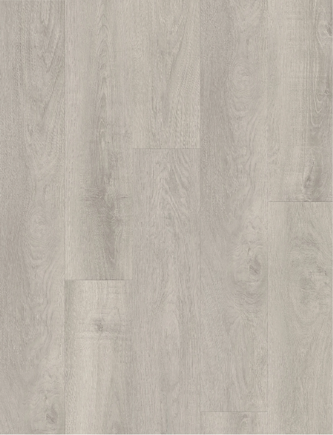 Blackbutt