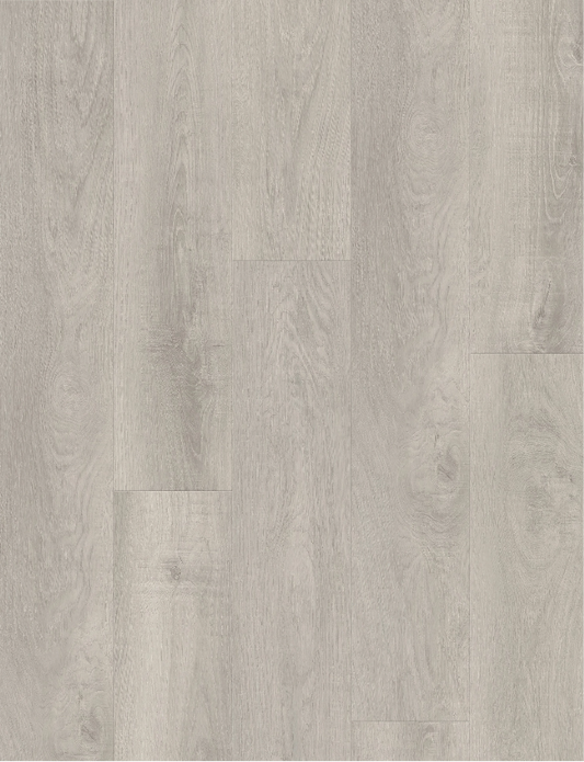 Blackbutt